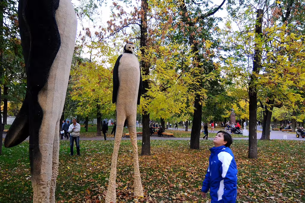 1667068864758.jpg
