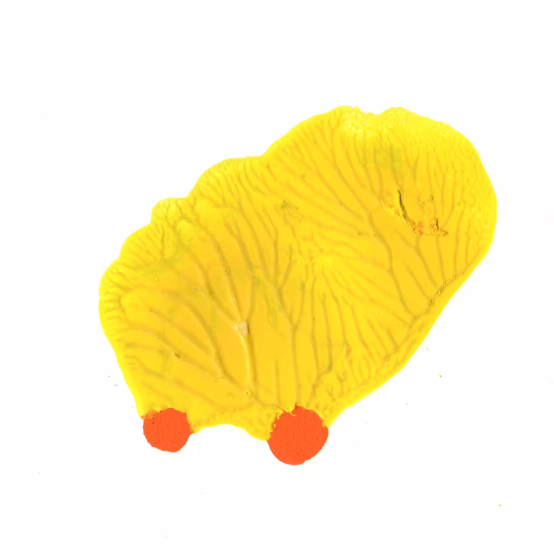 22672/pqhTJKbPAp0067Cv6tQoXkKzdY12Ap4ITL869srl.jpg