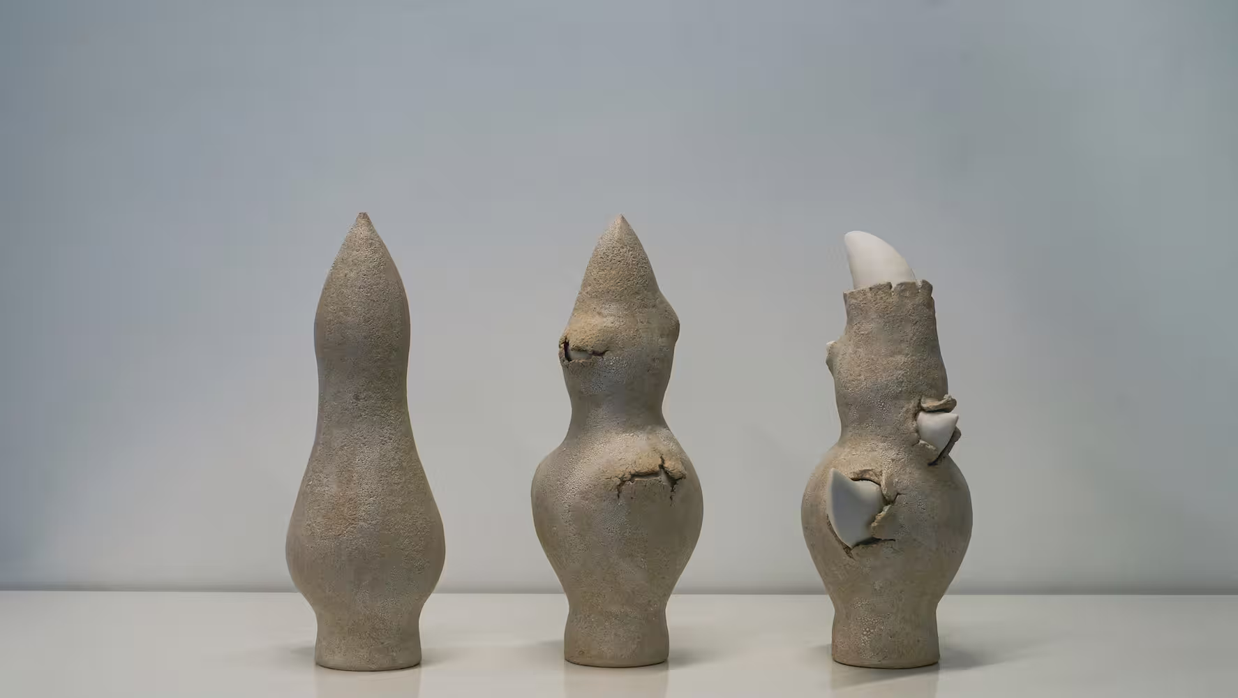 2021 Evolution of the Form.jpg