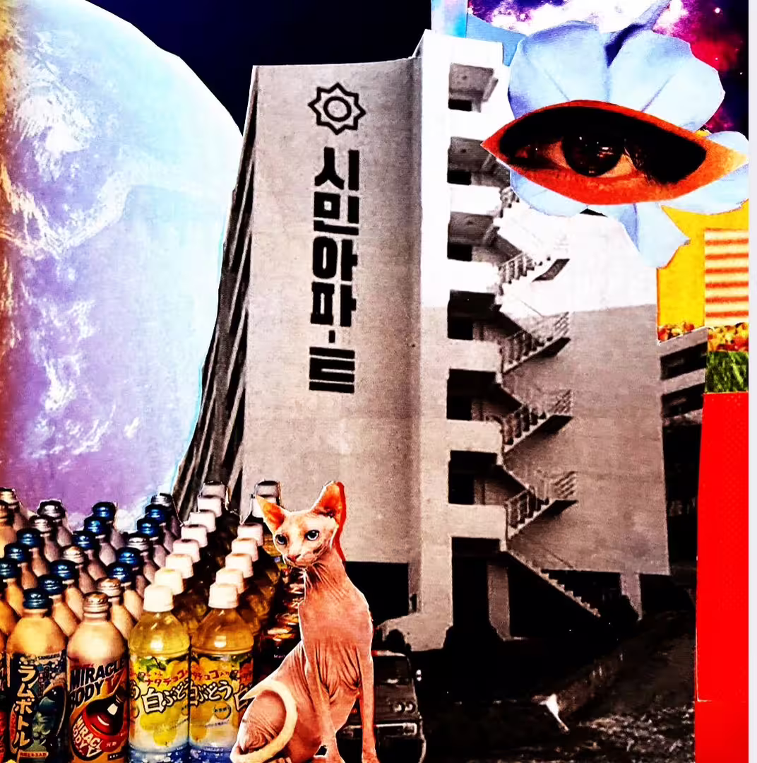 D2A4E0A9-B072-4352-B815-9133ED48B043.jpeg
