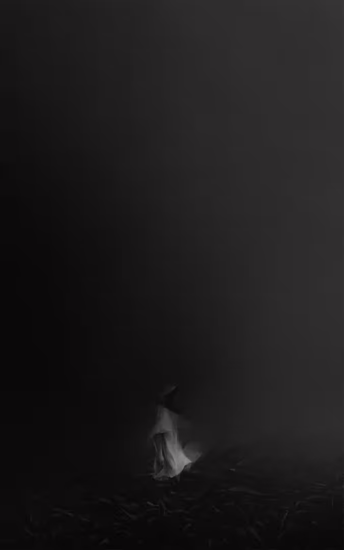 23403/IMpiFBIpA8cNsH35sFGJAw9tbHjN06eCBh1eL57F.jpg
