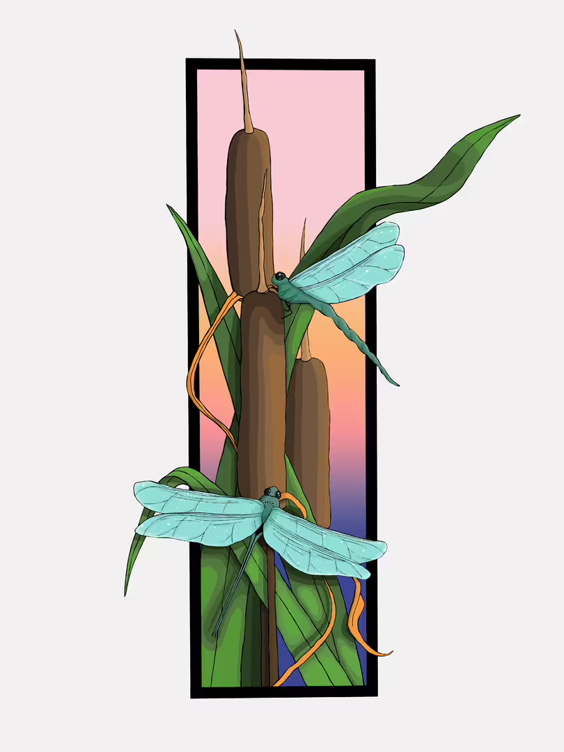 23816/XHY7B02WJep7WdNmQrixQk3bK0VbatmJZDGvsZJv.png