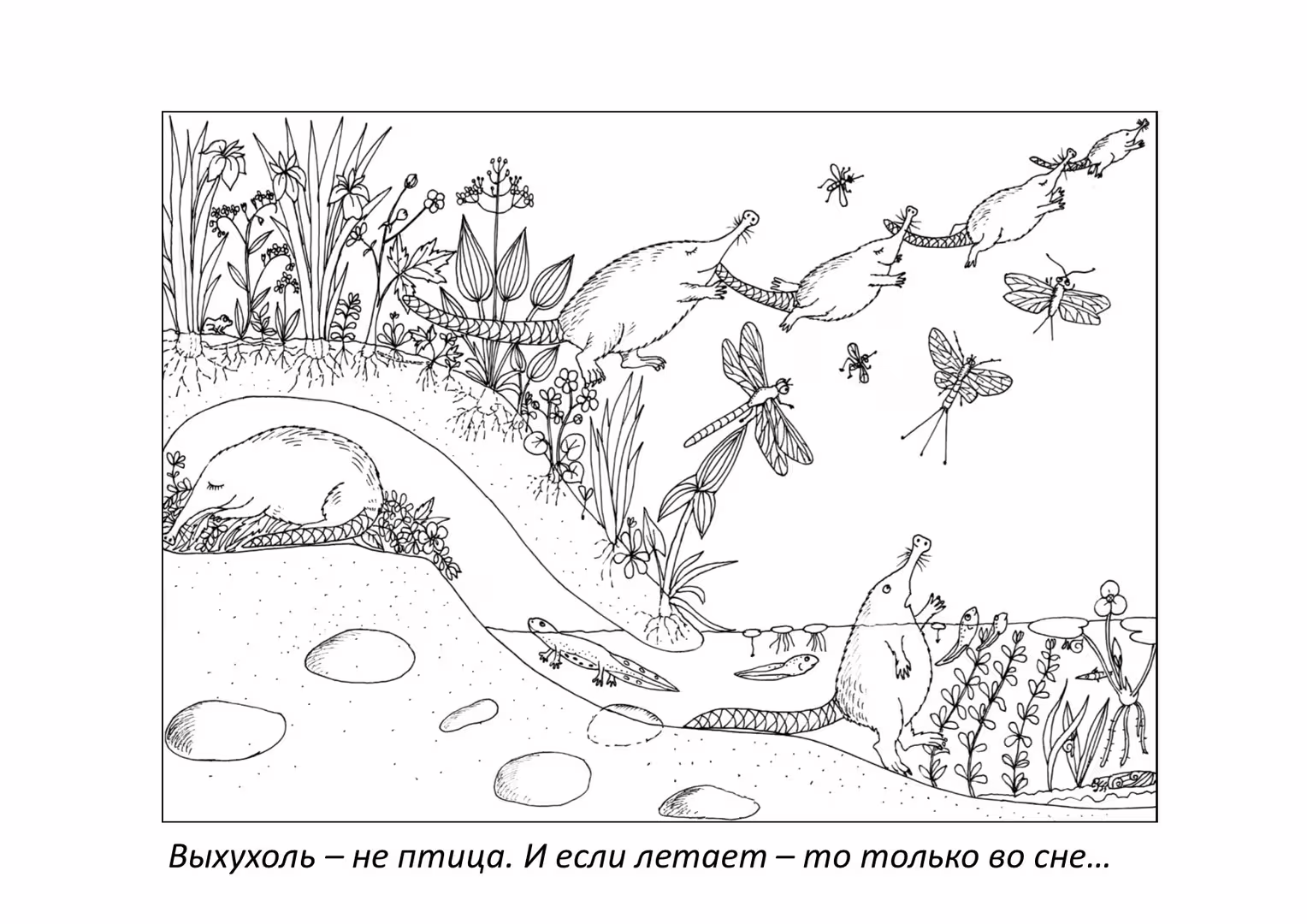 23897/zZ7qnndEGFIjsTw49lJxBlAvaZSQXiK856nOZBin.jpg