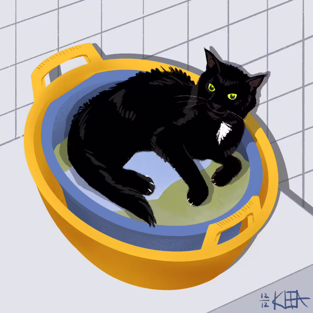 24093/U0LYVx0GE27T7SzjSRIxKsdwvSLE2lgTfJh5QZqc.png