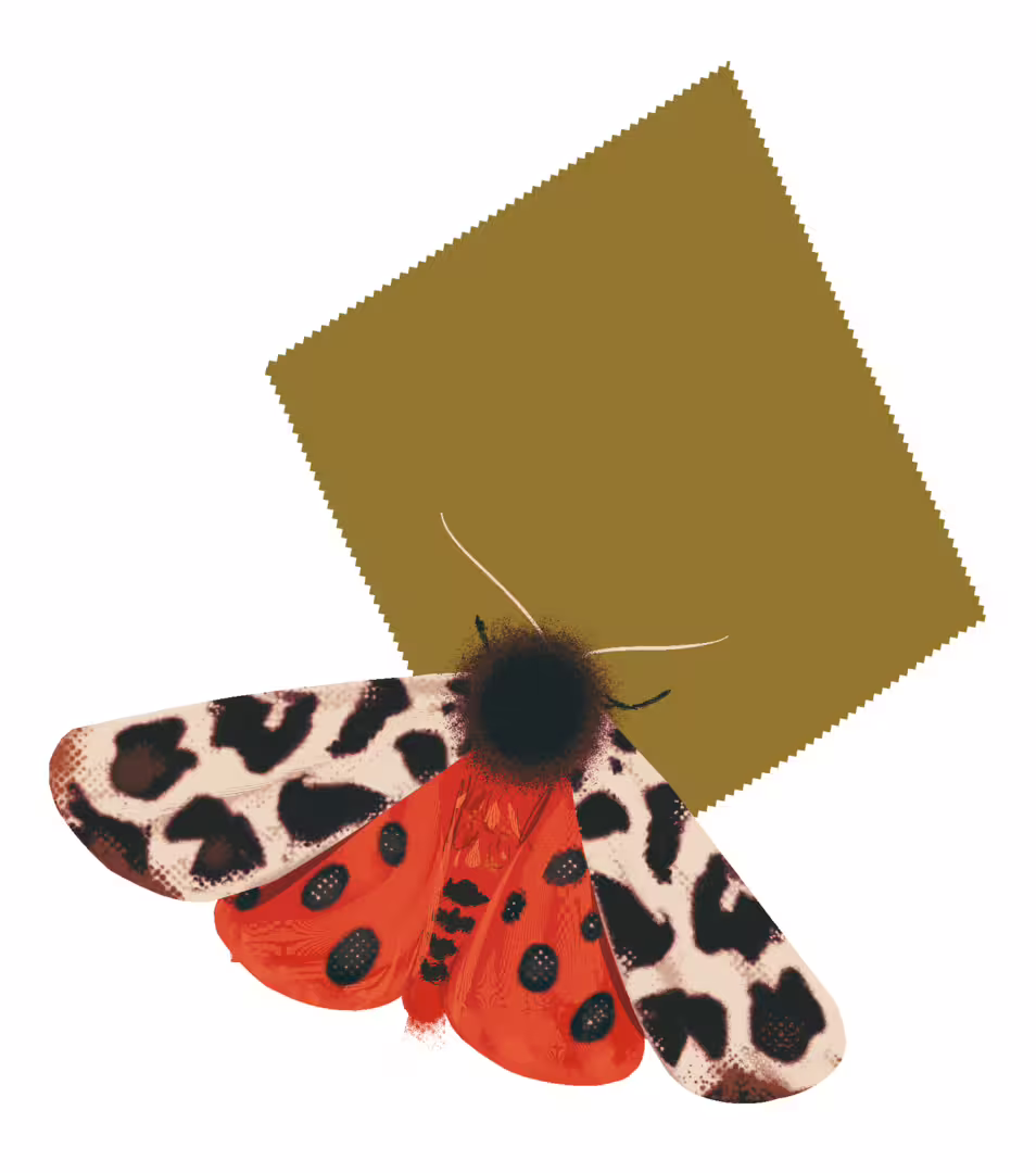 24121/SReJx3djT1tqzu2gsCZIfIVe1njLBYacxcSijFVw.png