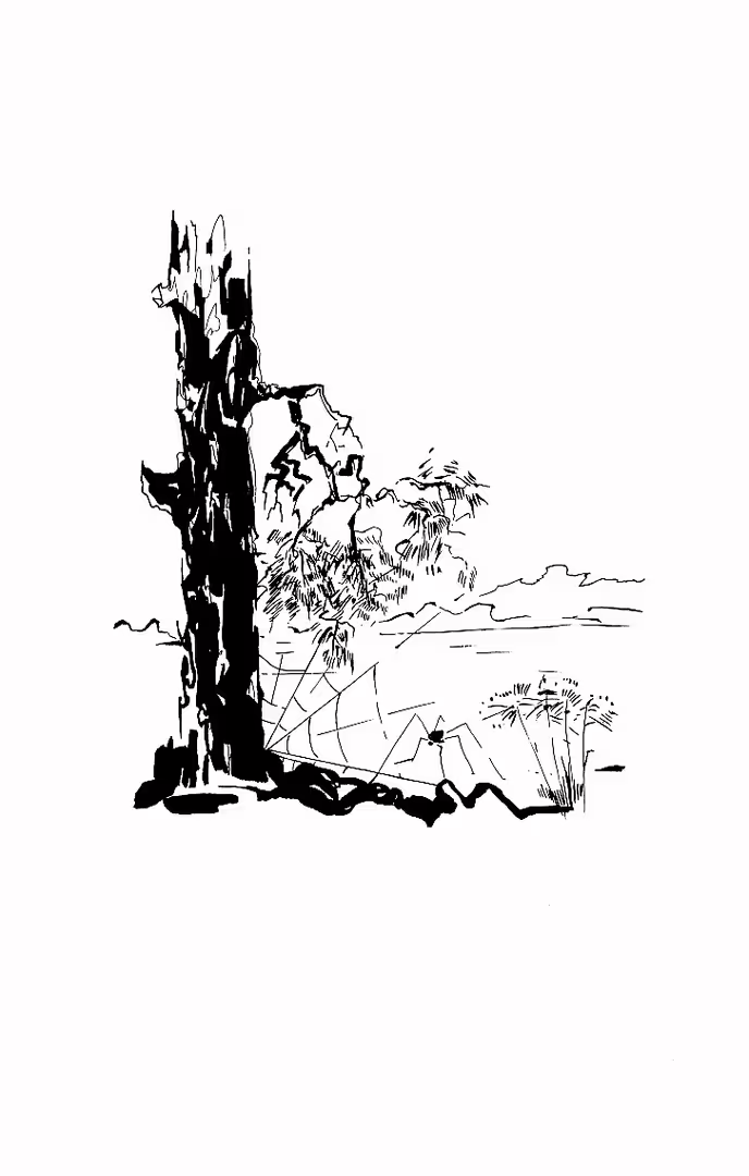 24768/eOtJMAEvyLrYTcMhayGjhFaVxU8k8DtyljU2naF1.png