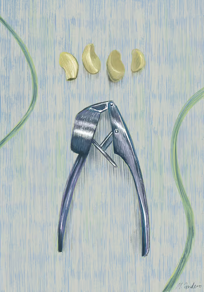 24784/ceZnBNqHFiaqSjCHRxoalp1kN526v8J2UYXukSdi.png
