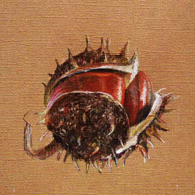 24964/pftVkuZhhKxv1AhCNzFp0uJb6gBY6I9eTbVNEtGj.jpg