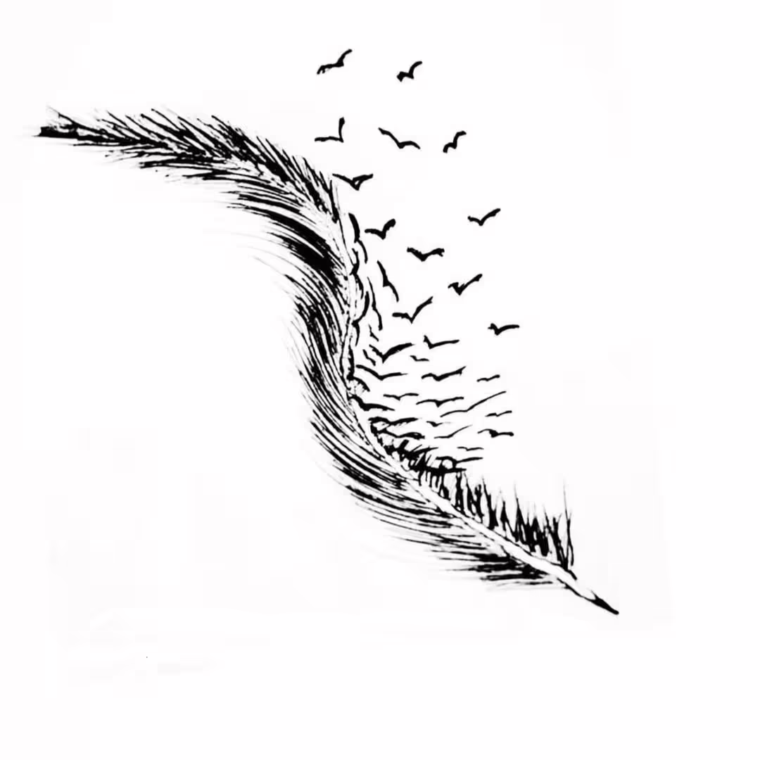 InShot_20220205_222214718.jpg