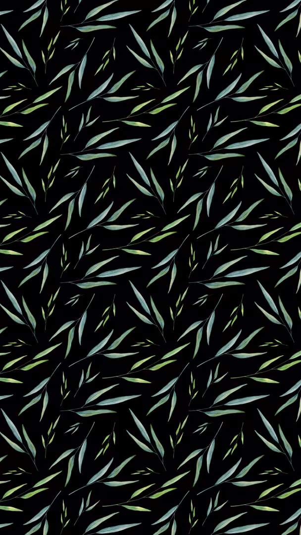 25707/FlZjZGXmRDiPOevVCLWR4WkrOLvjGkbwq8PKqJKa.jpg