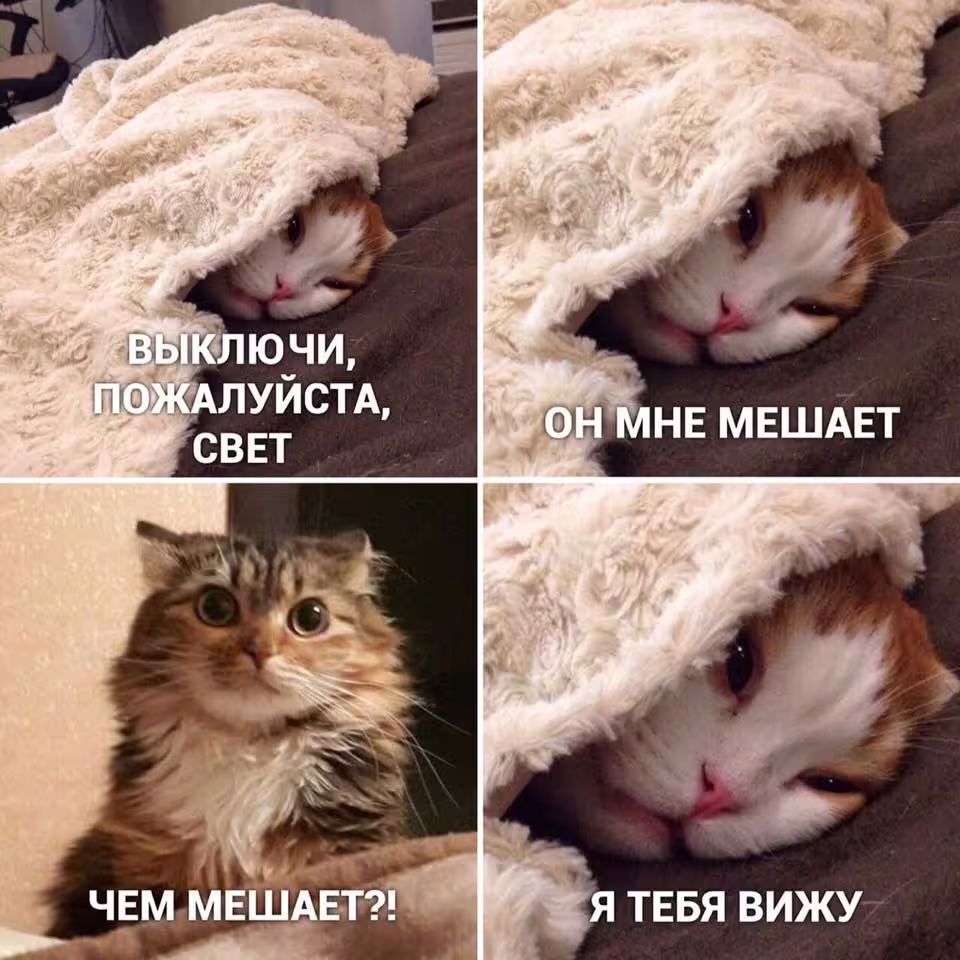 25815/MJVjQoJqpbjGVFGh6t3vhFtaxrTWYiDjmyghSVVD.jpg