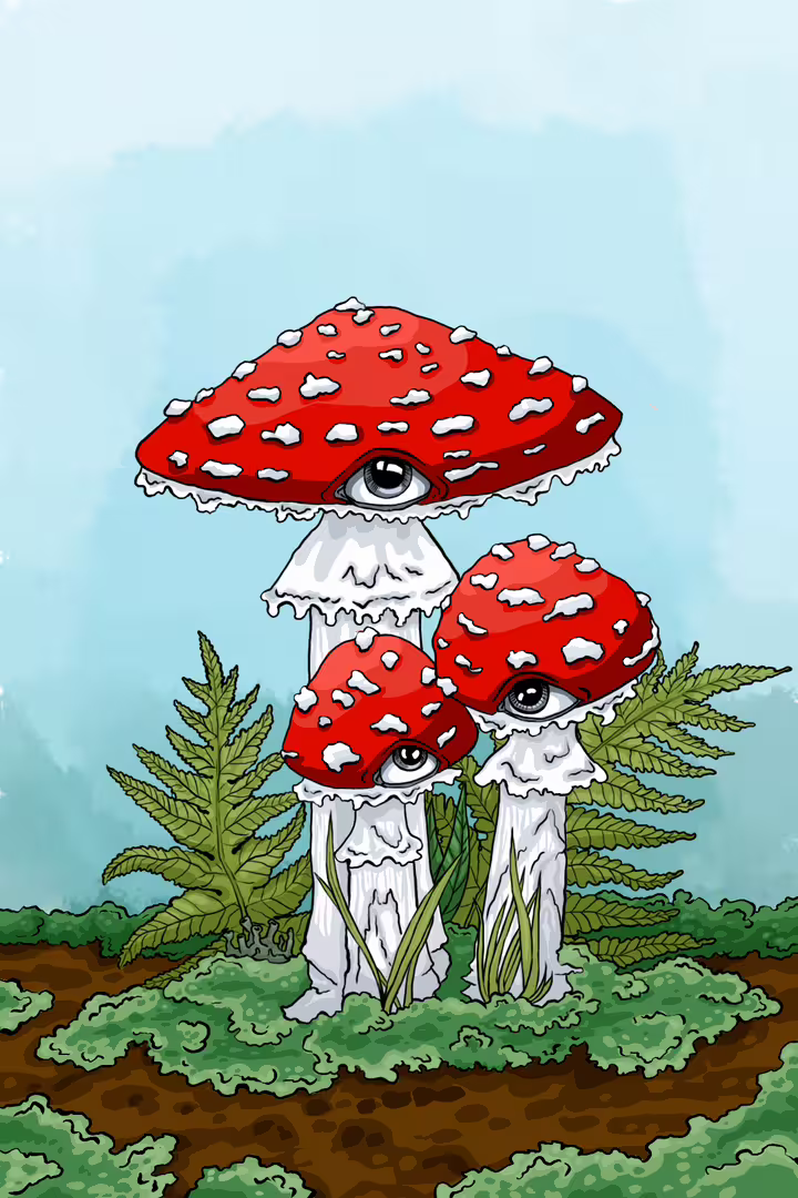 26058/G8s9ZFAUvYOOwb5kx8azoqIqmSy4QpS1ftYoguhR.jpg