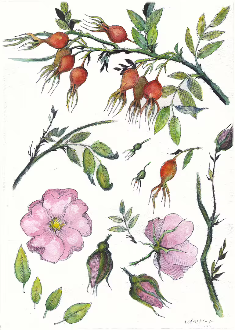 26069/KRaIBsvAkPYLUUFowlqfKNQl51l4367fkjly6hkN.jpg