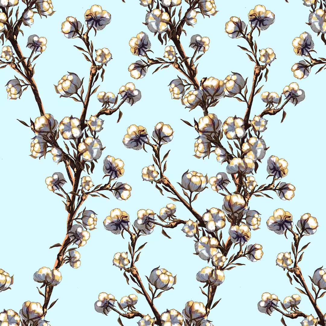 26363/VMhRGhxiOnaPhO6nTEQrtRCBfxXrOyCTsKqAu37X.png