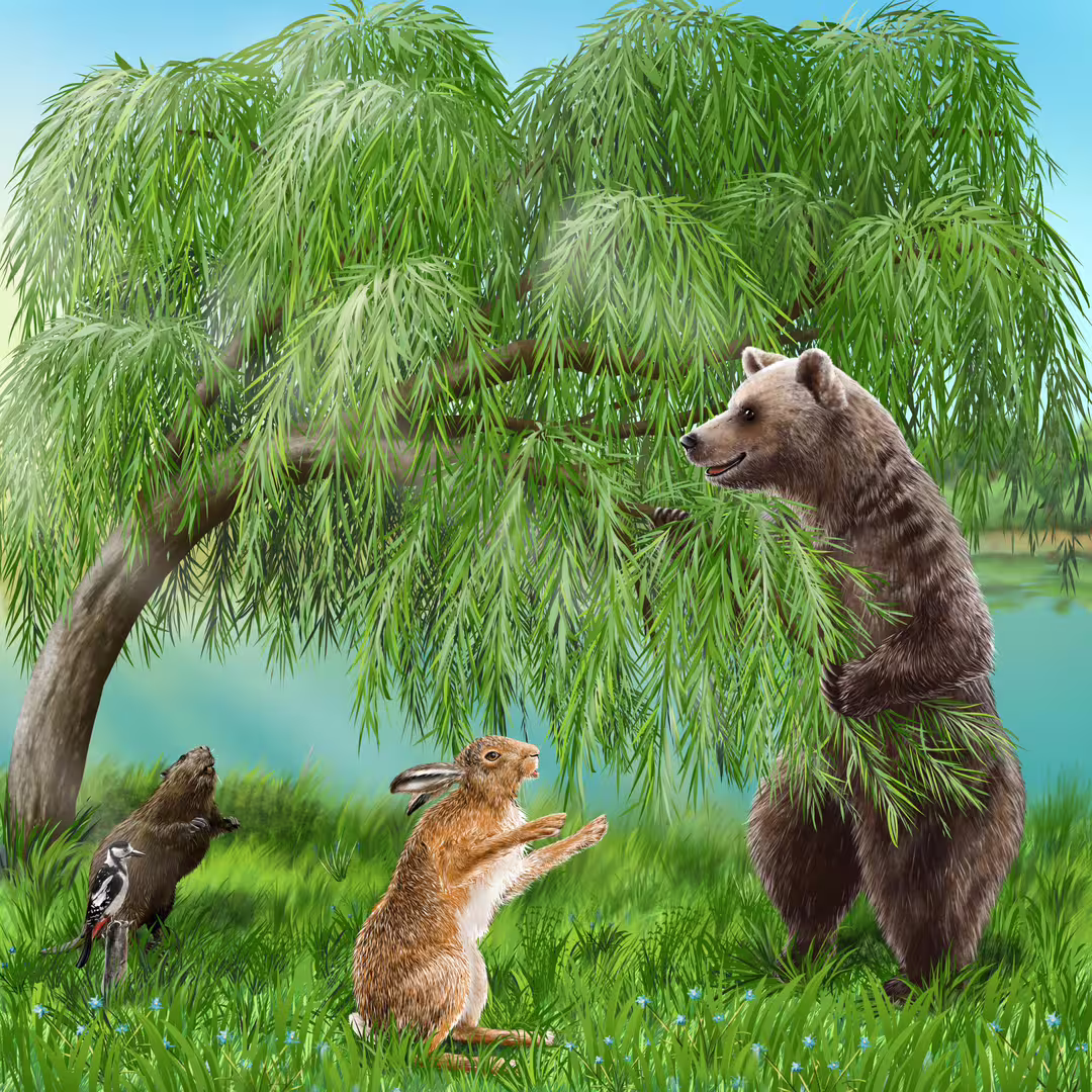 26376/kUhEvPA4yjvRhzRhHspXbVJJUTw8e4h0H0SPFhbb.jpg