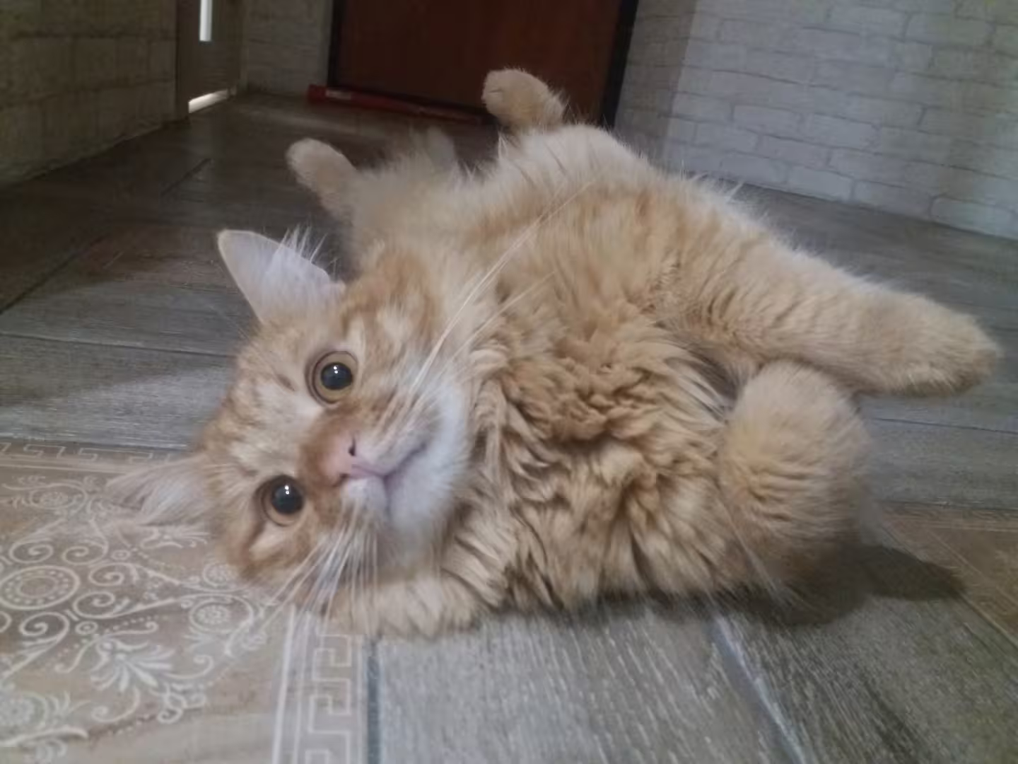 Аватар пользователя