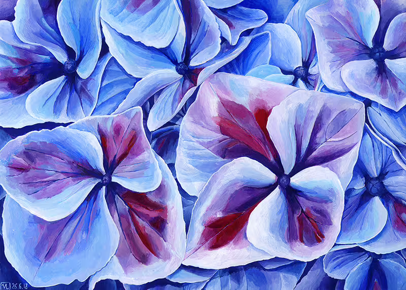 26617/W0zuJGi0Wqcwqk3jVYGnXJKz2EHR6sBW8wRBSs6j.jpg