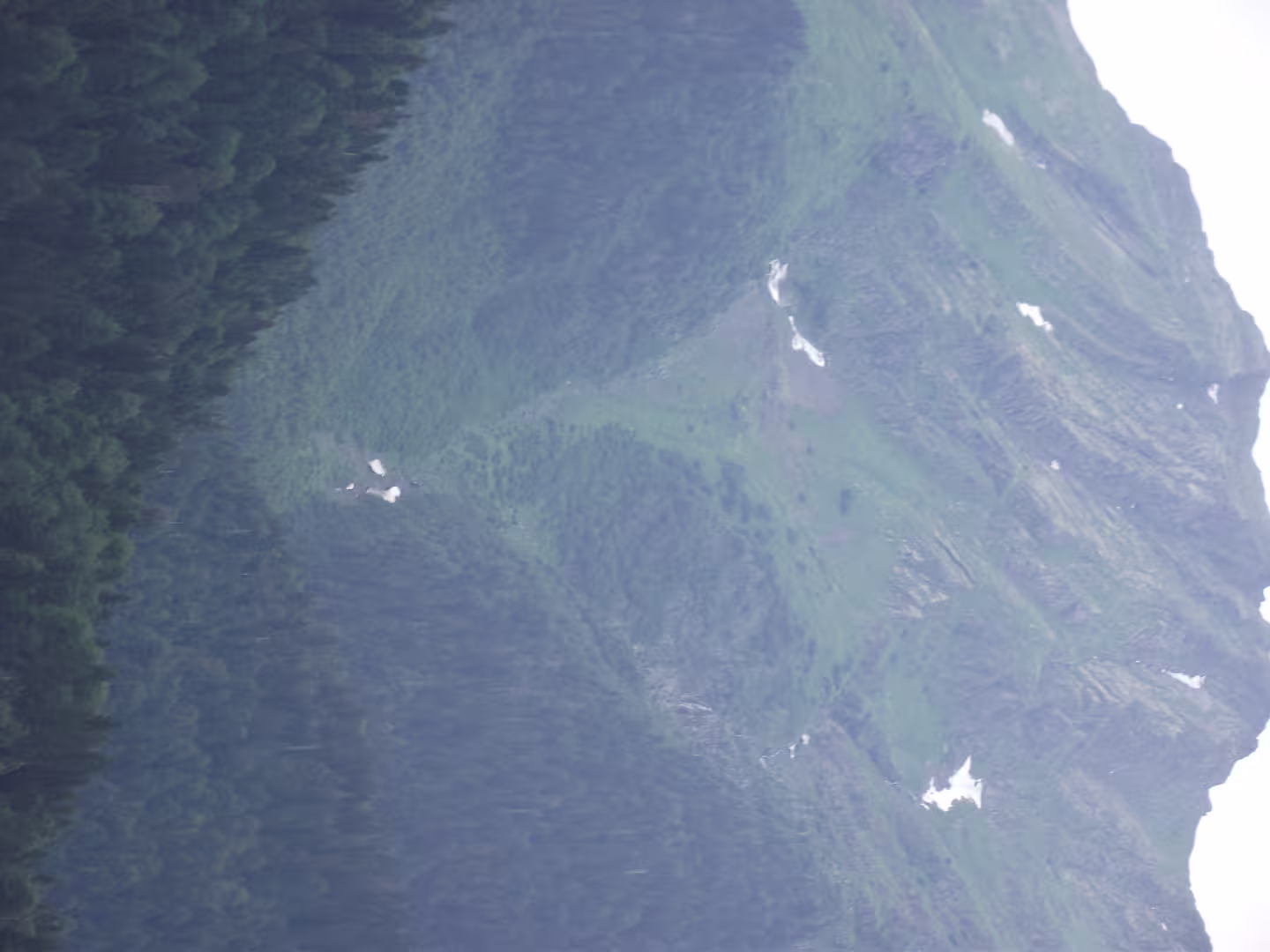 DSCF2165.JPG