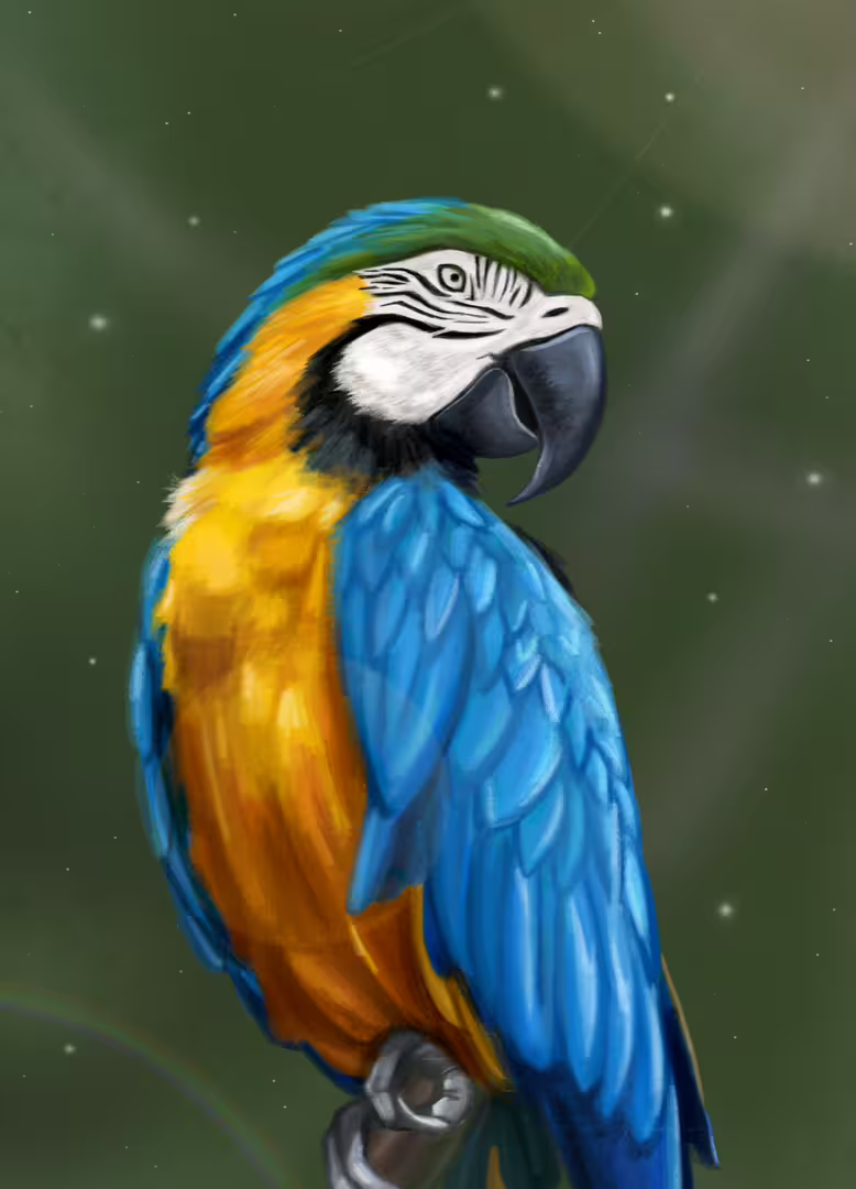 26958/eCmrhuOHJQE4MeEUzblfTCJbc4Z84E8Rp1XeBBqC.png