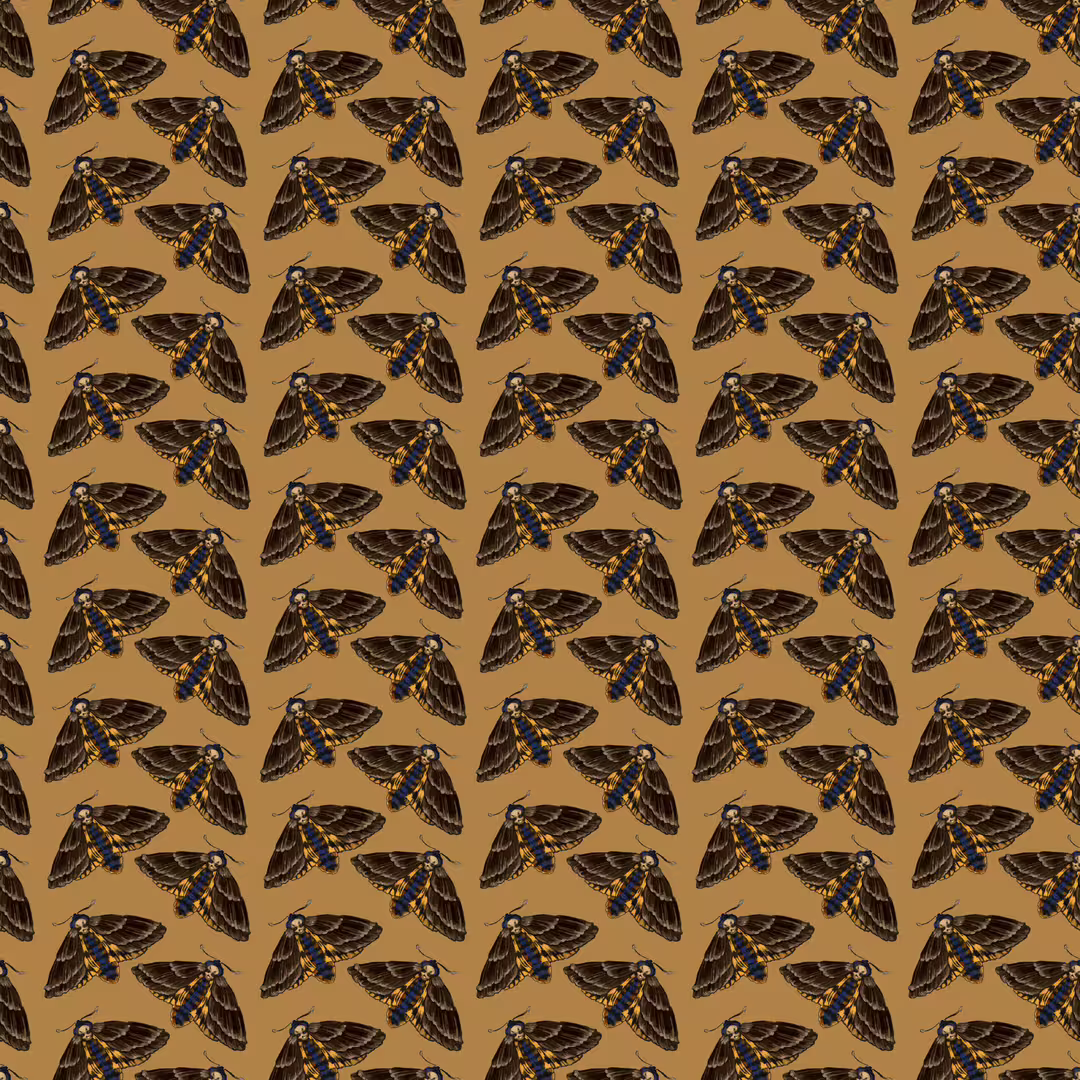 27335/KBuYkKZfuQwB41mbqsocvnARWEazA8OKnOqPuddj.png