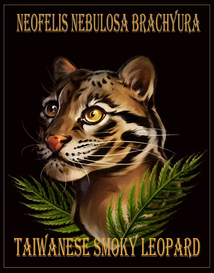 27592/a4WQjcLUWAcYqTGkahZr1sx5FRW0sTpypvhp7kgO.png