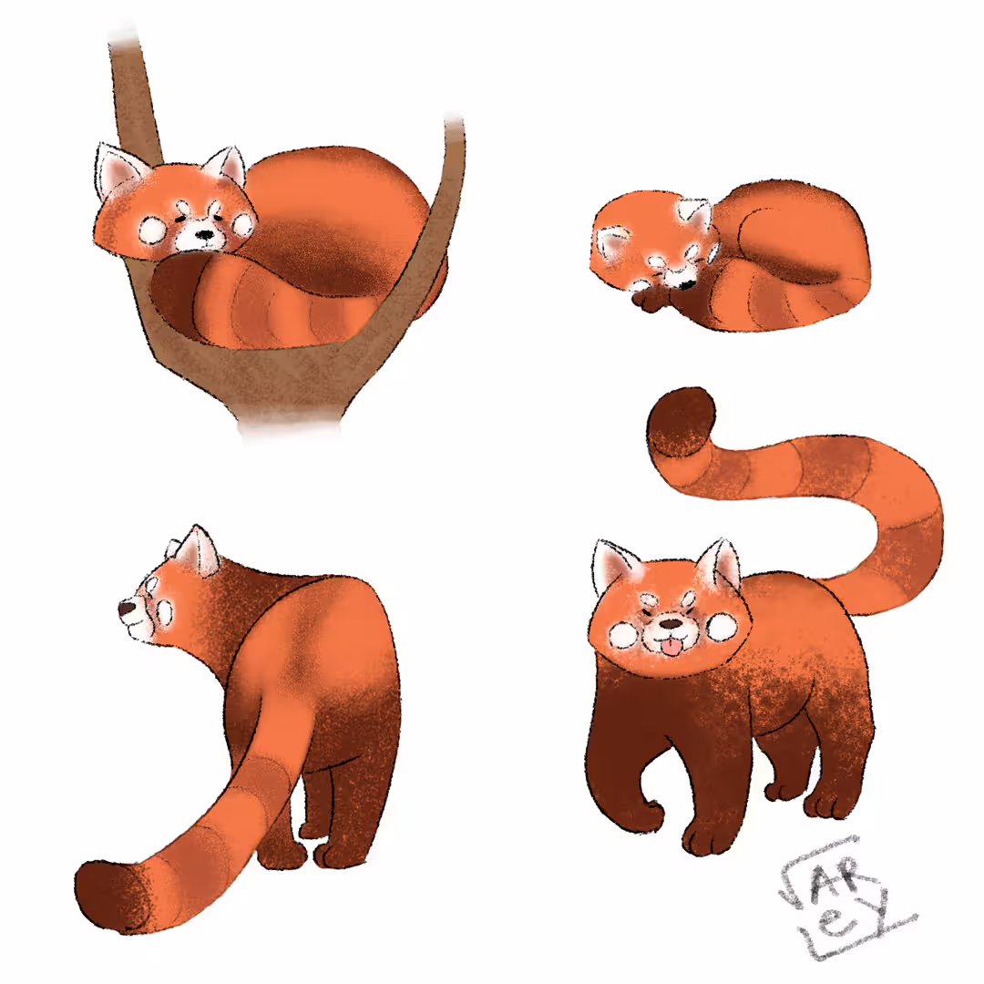 27764/TLDw00BWI92Nt6aB883msgqqUMby4cBJQBVwnqQb.png