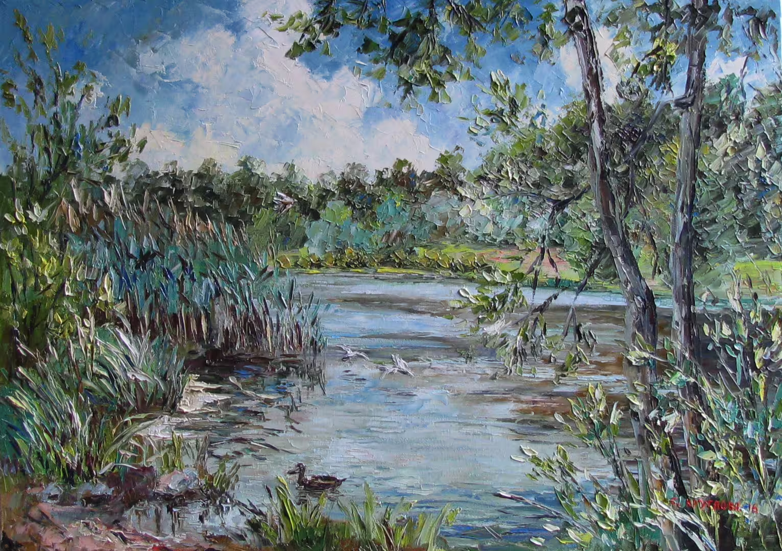 Камыши на пруду,  холст  масло,  50 х 70 см.,  2016 г..JPG