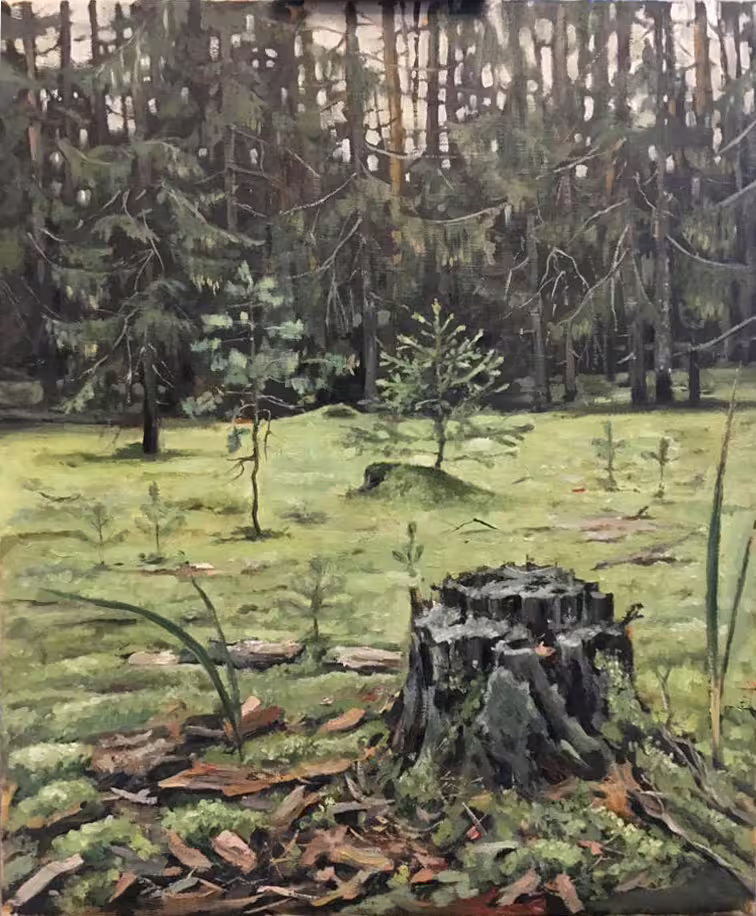 Лесная-поляна.jpg