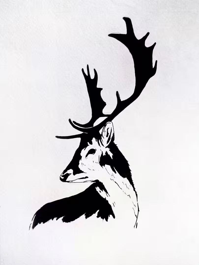 28190/Q2yWePjcCDgHYHP83eHjaQmvRKTha2I2pigC4o0p.jpg