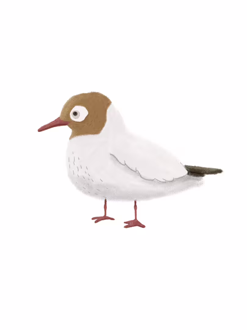 28516/9A1moEoxO4ZvWAhhePak6gXDgfwZNEEZf0kLrlub.png