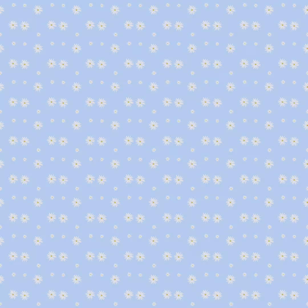 28580/c39ZvWNdvWhZx88QUFjPwLalo7rGERx3t3mhUbWZ.jpg