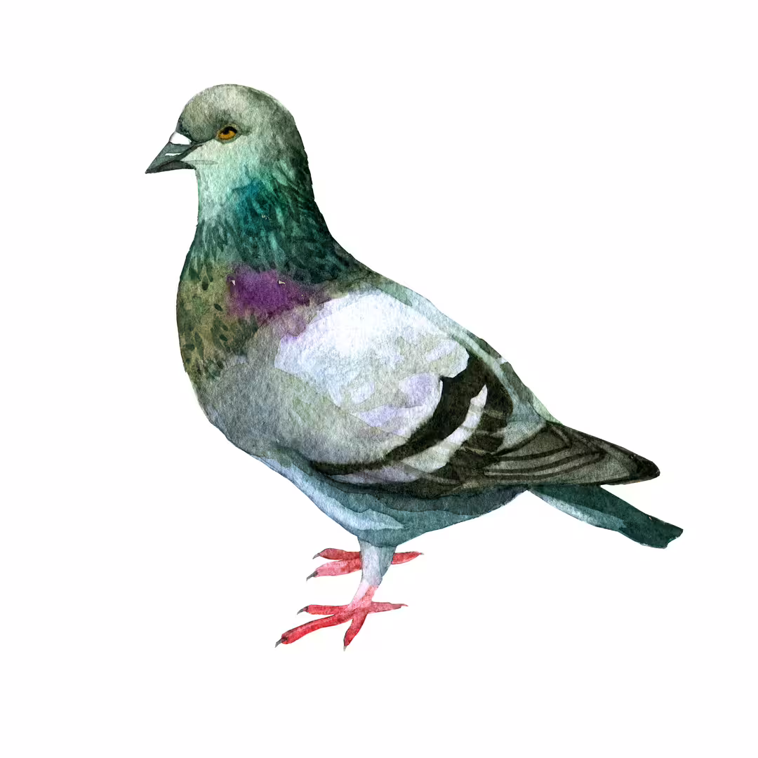 28589/dpDWprZeYjF7fK5ApSFjXXGjHDz4j3zPPS8AOql0.jpg
