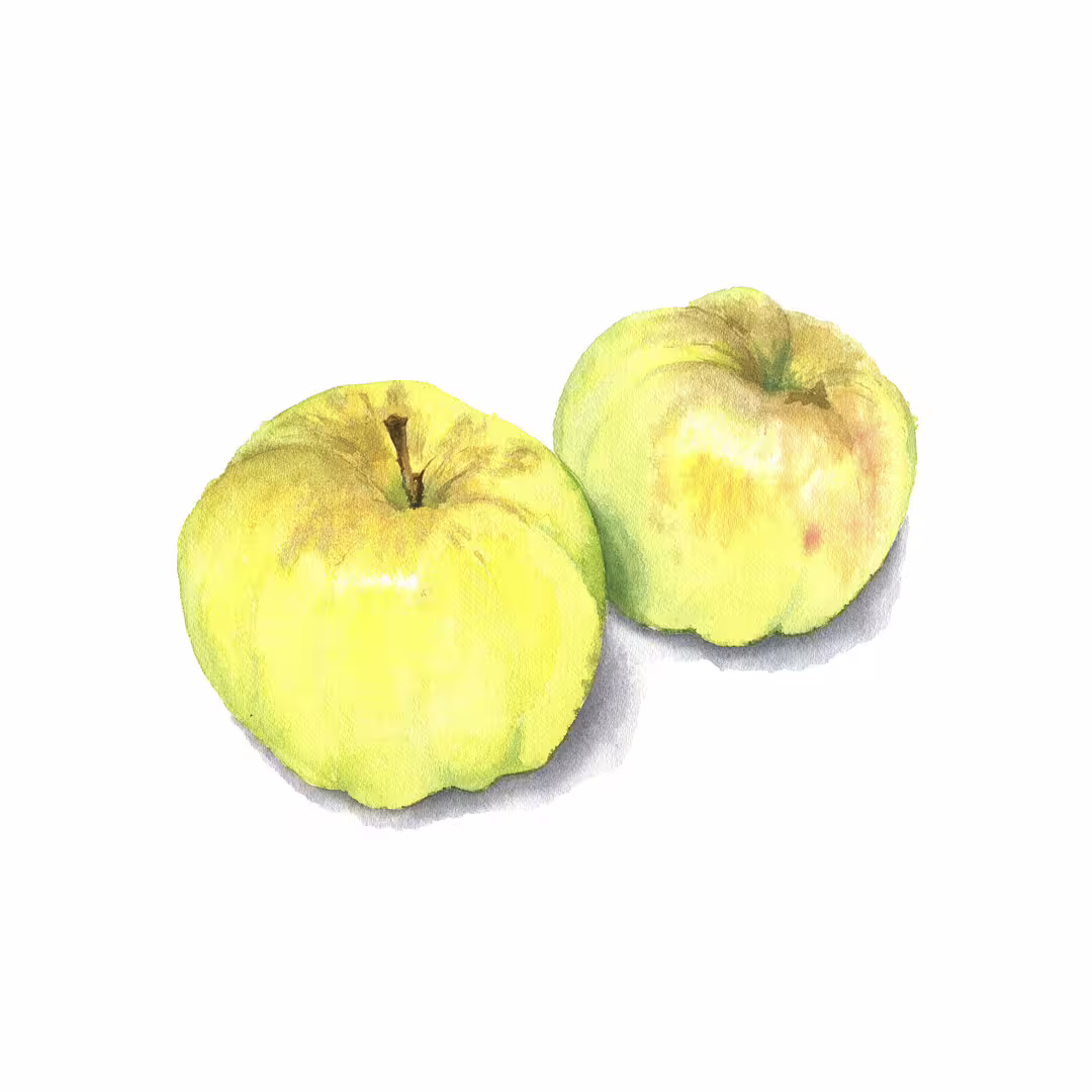 28631/o5yt1IGyc98RjgXQlLnIHK8PQofmOrxK1c2BpPfR.jpg
