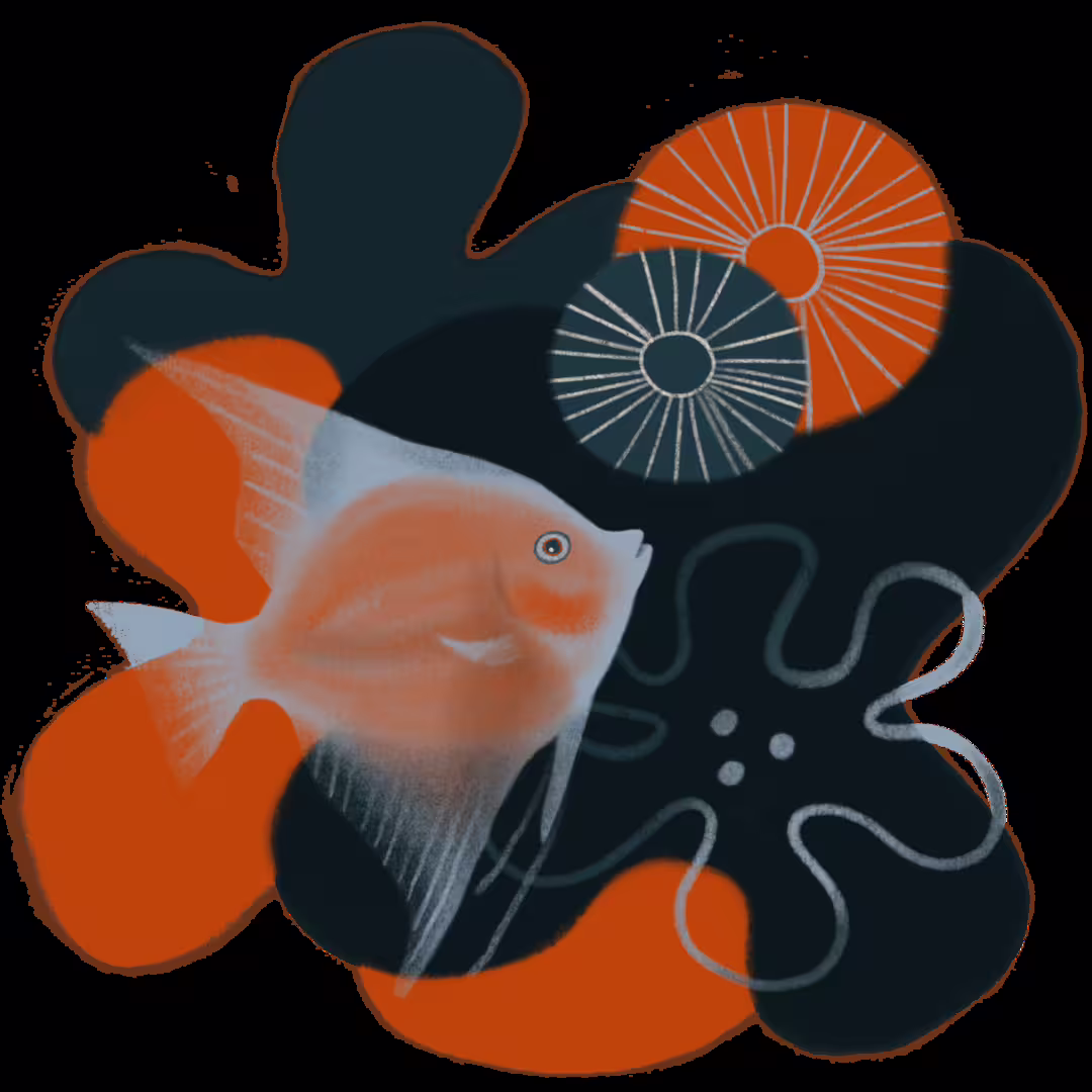 28980/FHwWyZ4zQ6bc4IcxMT4vq3f0icK49FnUpQ22euFL.png