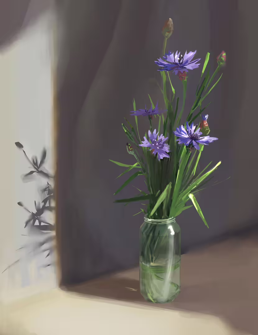 29162/aBZ7rqztbKt9x85BPA4okMekqvofHFx2pnksyDfZ.jpg
