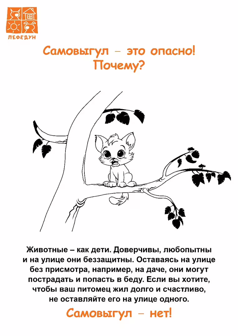 29371/D5ONIk5EkGx4O3IQKMFh66JPM6F0KJEzNq8fa5LO.jpg