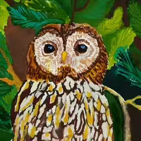 Аватар пользователя