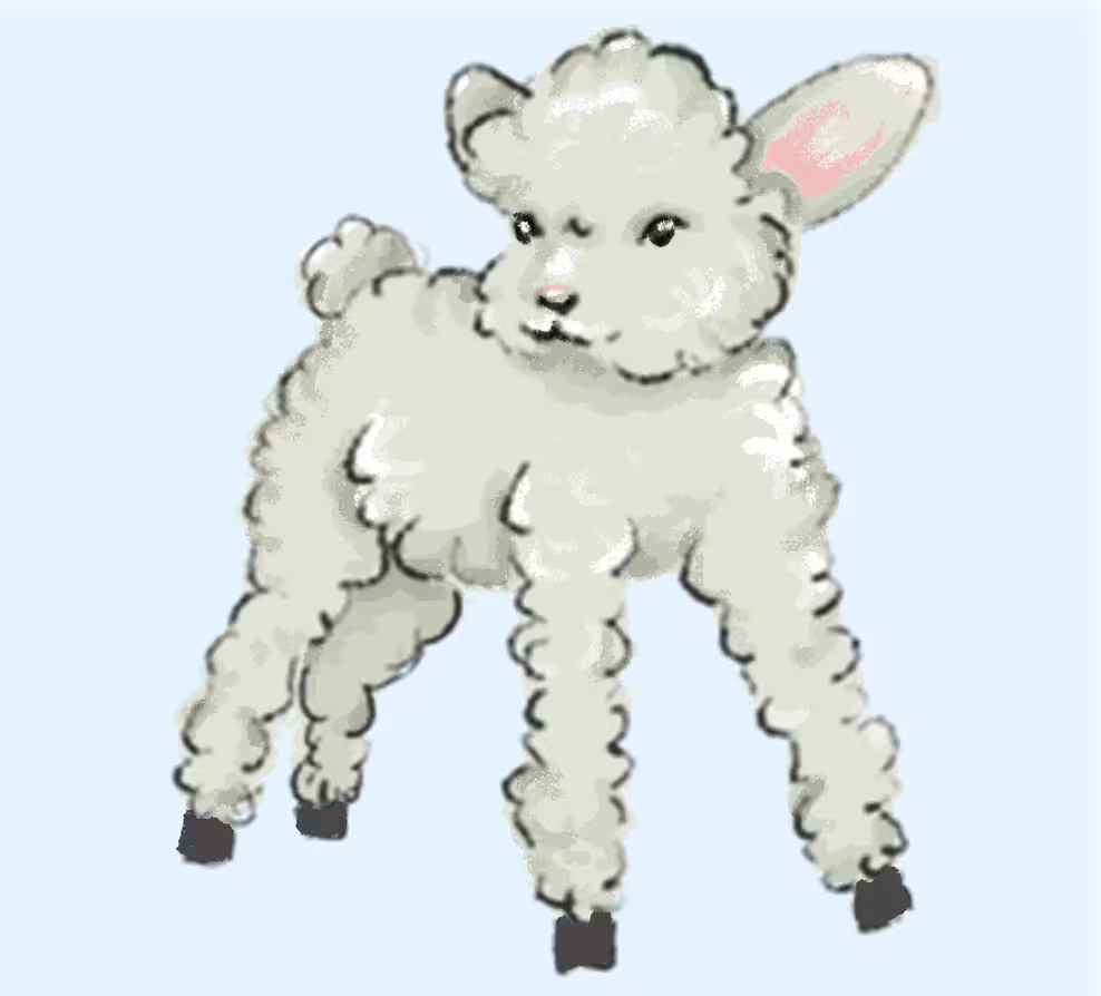 30250/AtoxsrEShb1evm0PeFQ0qkBVFo9iXlDlhsdxW5LW.png