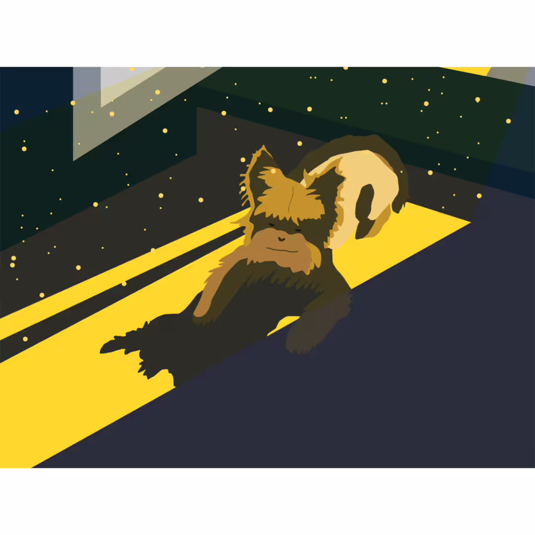 30253/IKCegtd6eMgQkf2CM04jF0wCwWArx2h3xMLhldsY.png