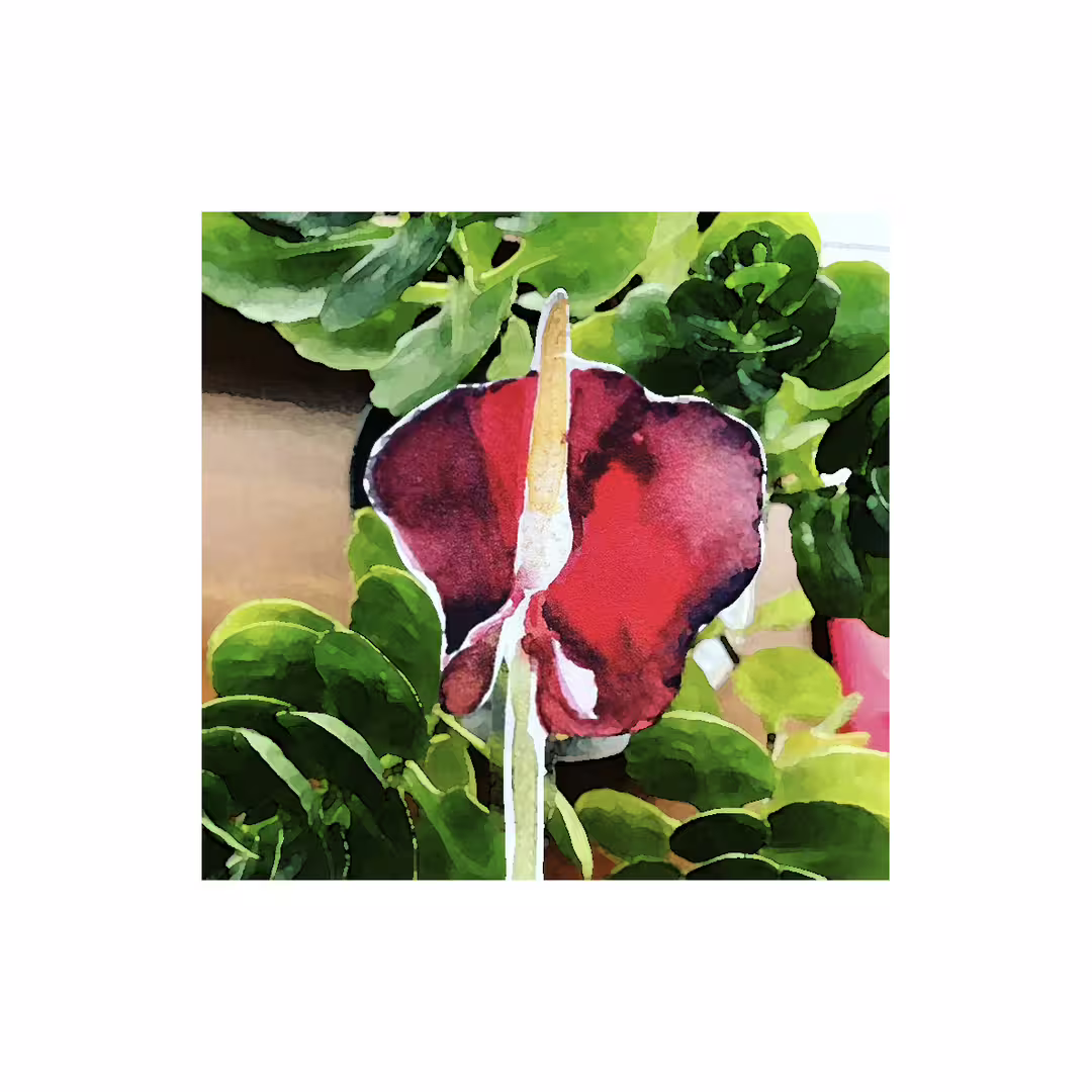 30557/ZrLFYQnCCVhAM7qcY4VVfZZhh9tu01CUzPlXBbnQ.jpg