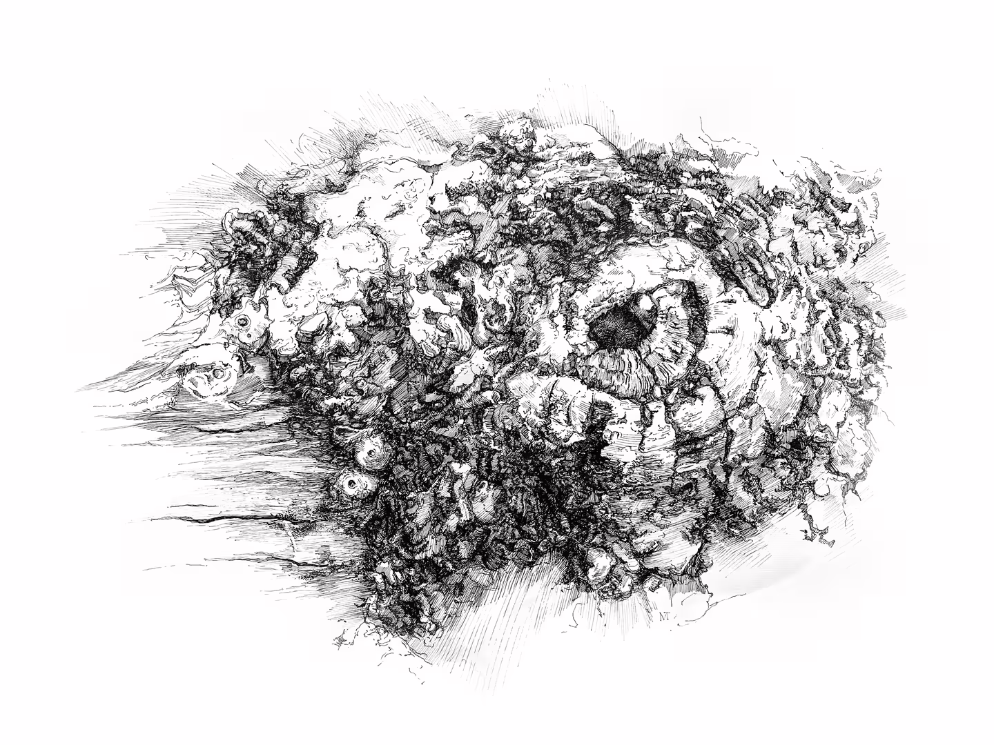 treebark_63x47mm_inknib_300GBP.jpg