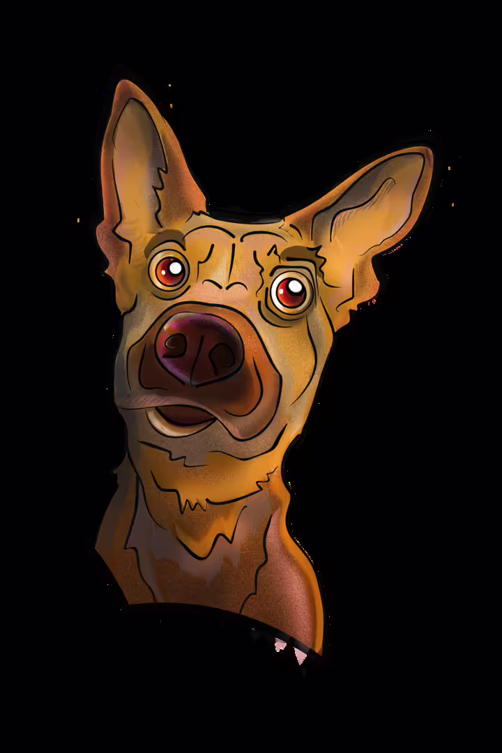 31373/cLnEGRrsu4N4k3HeoQeZcXmSPyEYJuT50vjPsx7N.png