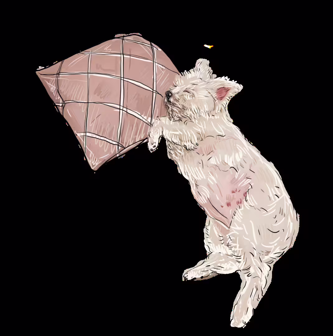 31466/QhpIAgfGGUst6dxpcdQ1W4PyJL6TuLTsRlcQMQKK.png