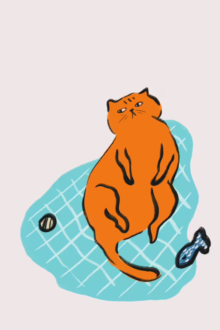 31854/R1VG9RLj2w1bMaiv9xa1LRSYEaa6H3t92c2AbuW1.png