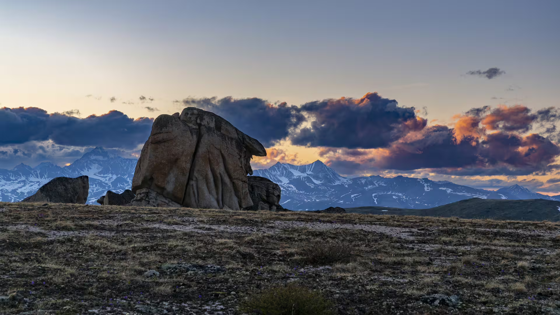 _MG_5046.jpg