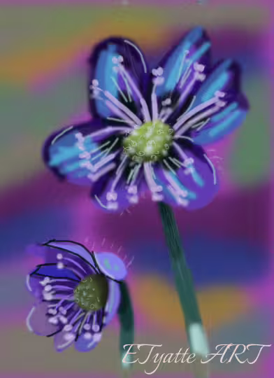 32383/Frkix7lv48FGpZdXxNFGgjXIMdAl0C2b3WjKlbVn.png