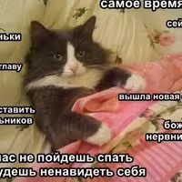 Аватар пользователя