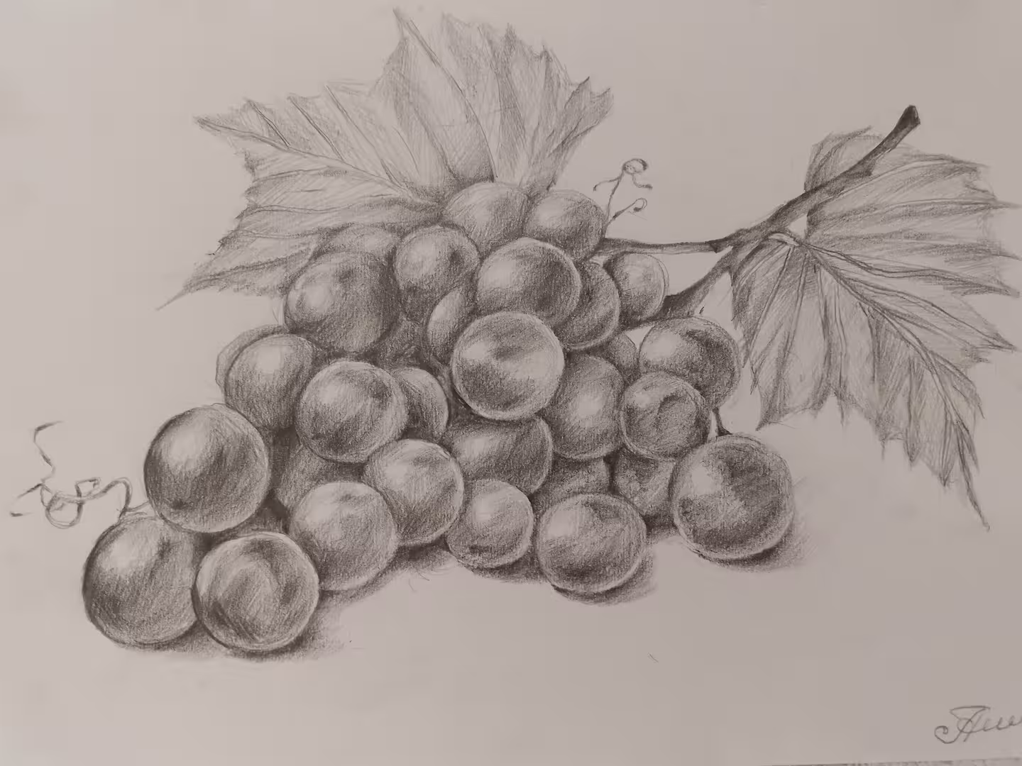 20250427_210019.jpg