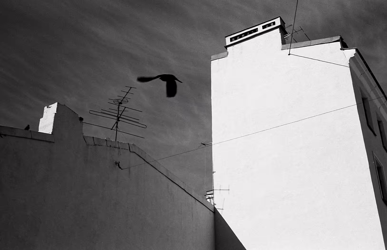 Peterb the Wall_05_resize.jpg