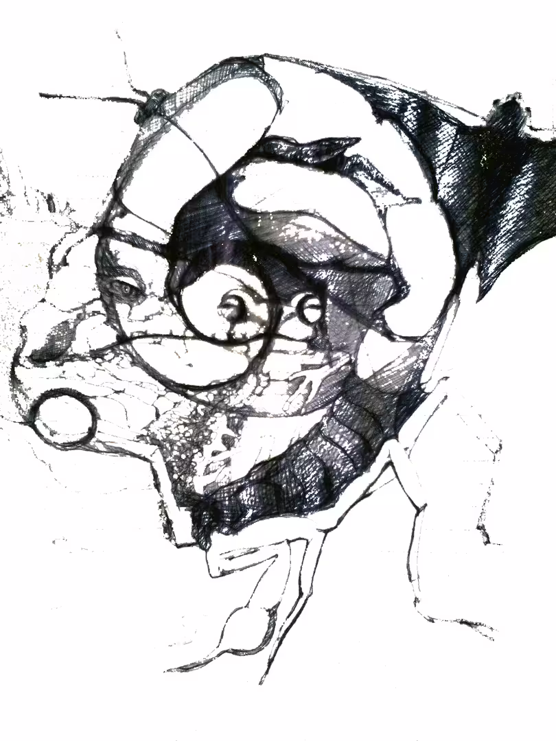 33037/wWLWh2dNS9U4hKLBiehDZYMjb2enC42RZUHdq12c.jpg